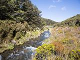 J Tongariro 068